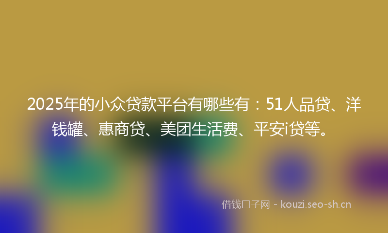 2025年的小众贷款平台有哪些有：51人品贷、洋钱罐、惠商贷、美团生活费、平安i贷等。