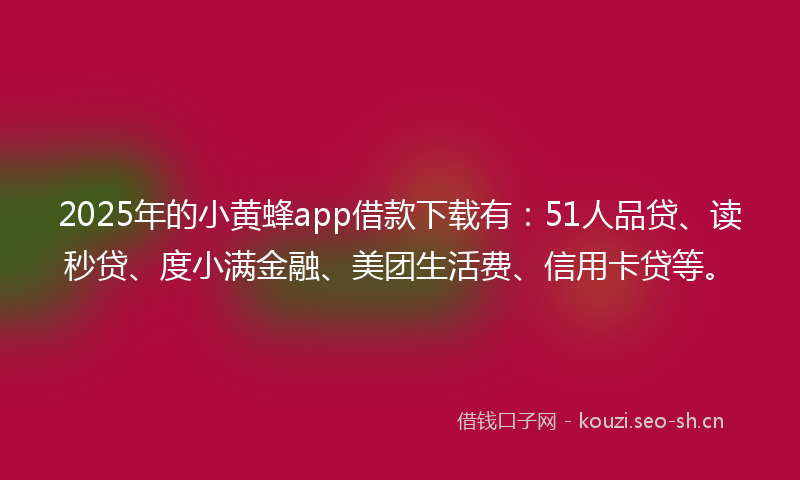 2025年的小黄蜂app借款下载有：51人品贷、读秒贷、度小满金融、美团生活费、信用卡贷等。
