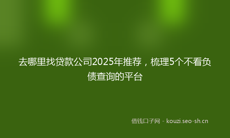 去哪里找贷款公司2025年推荐，梳理5个不看负债查询的平台