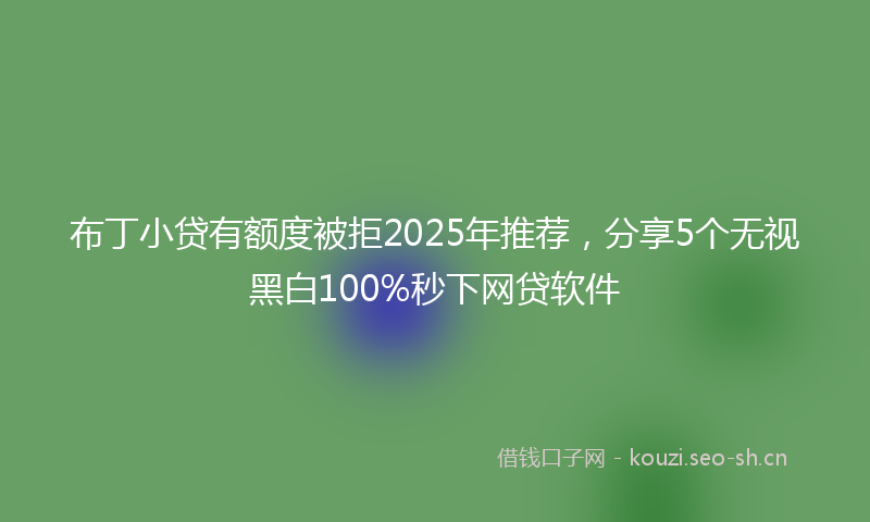布丁小贷有额度被拒2025年推荐，分享5个无视黑白100%秒下网贷软件