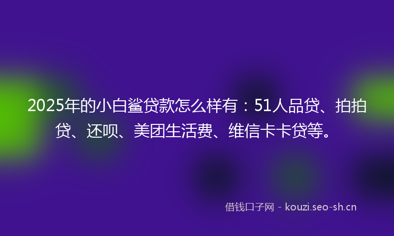 2025年的小白鲨贷款怎么样有：51人品贷、拍拍贷、还呗、美团生活费、维信卡卡贷等。