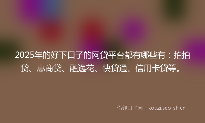 2025年的好下口子的网贷平台都有哪些有：拍拍贷、惠商贷、融逸花、快贷通、信用卡贷等。