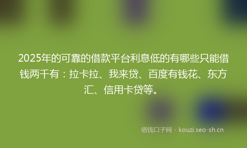 2025年的可靠的借款平台利息低的有哪些只能借钱两千有：拉卡拉、我来贷、百度有钱花、东方汇、信用卡贷等。