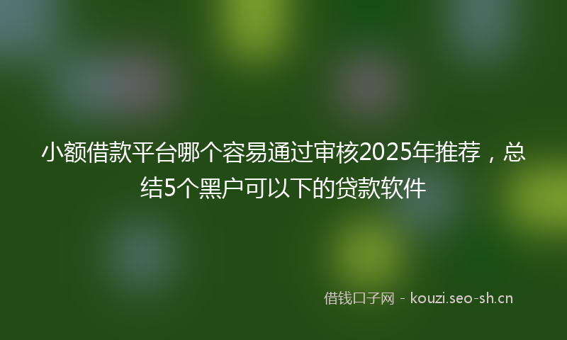 小额借款平台哪个容易通过审核2025年推荐,总结5个黑户可以下的贷款软件