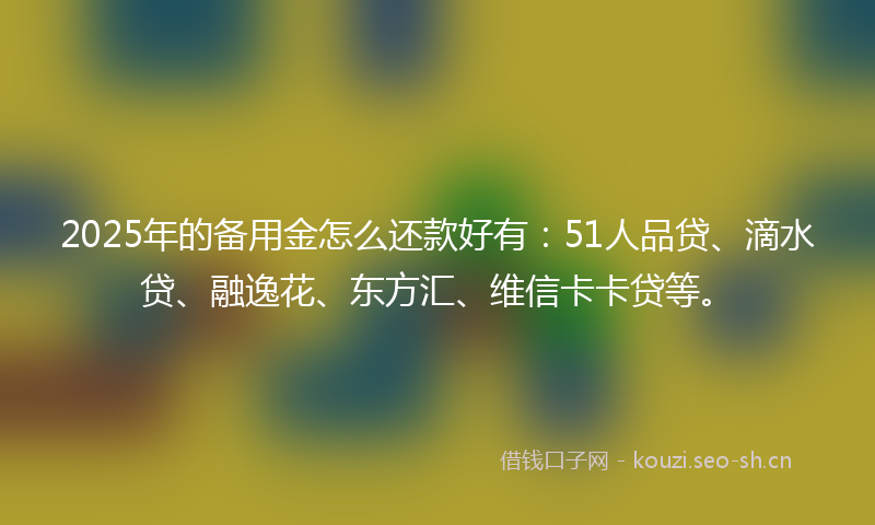 2025年的备用金怎么还款好有：51人品贷、滴水贷、融逸花、东方汇、维信卡卡贷等。