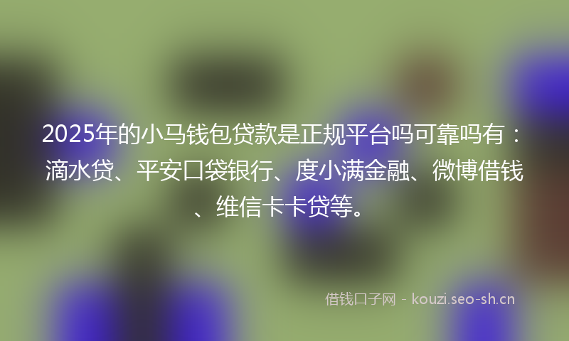 2025年的小马钱包贷款是正规平台吗可靠吗有：滴水贷、平安口袋银行、度小满金融、微博借钱、维信卡卡贷等。