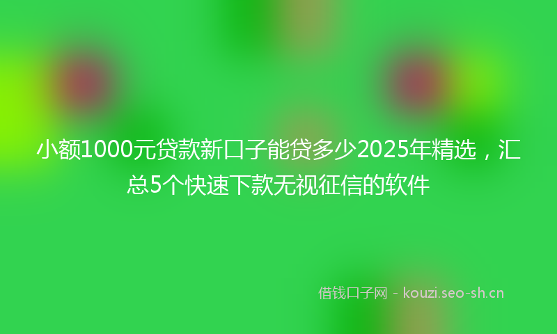 小额1000元贷款新口子能贷多少2025年精选，汇总5个快速下款无视征信的软件
