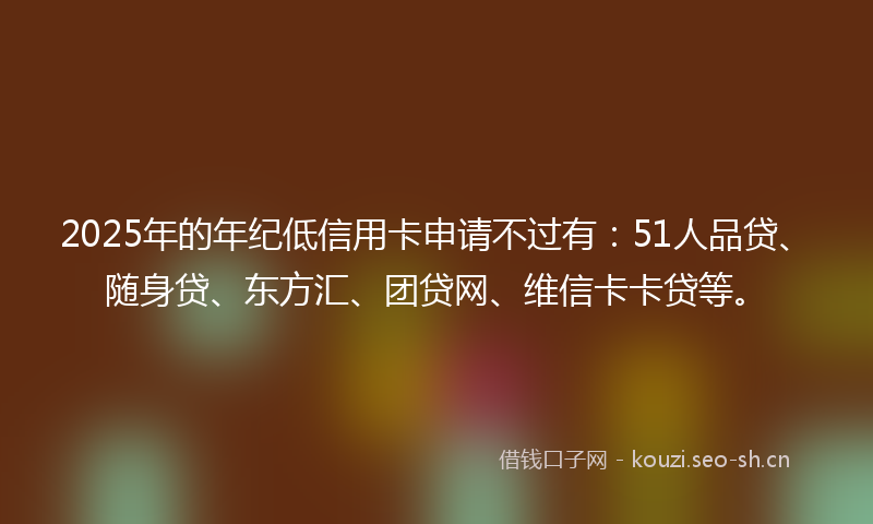 2025年的年纪低信用卡申请不过有:51人品贷、随身贷、东方汇、团贷网、维信卡卡贷等。