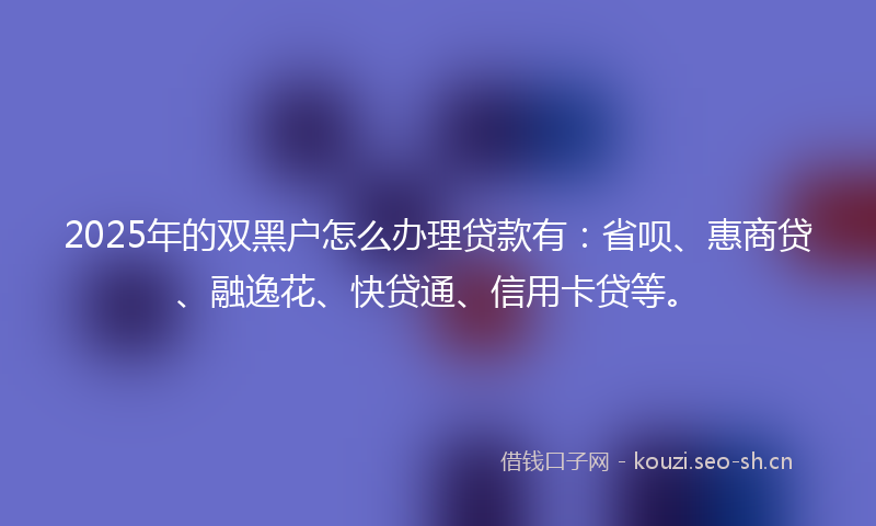 2025年的双黑户怎么办理贷款有：省呗、惠商贷、融逸花、快贷通、信用卡贷等。