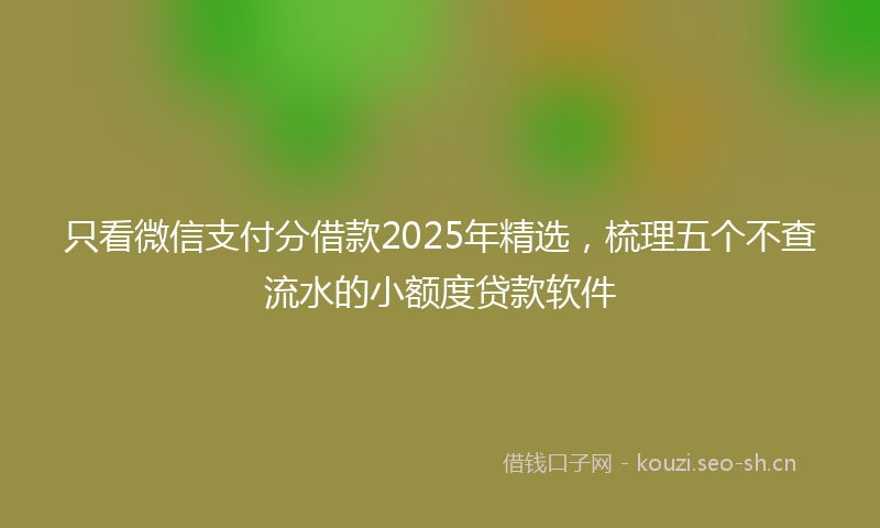 只看微信支付分借款2025年精选，梳理五个不查流水的小额度贷款软件