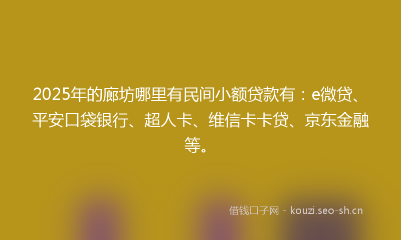 2025年的廊坊哪里有民间小额贷款有：e微贷、平安口袋银行、超人卡、维信卡卡贷、京东金融等。