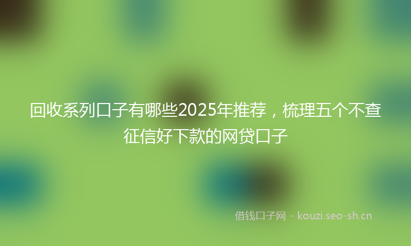 回收系列口子有哪些2025年推荐，梳理五个不查征信好下款的网贷口子