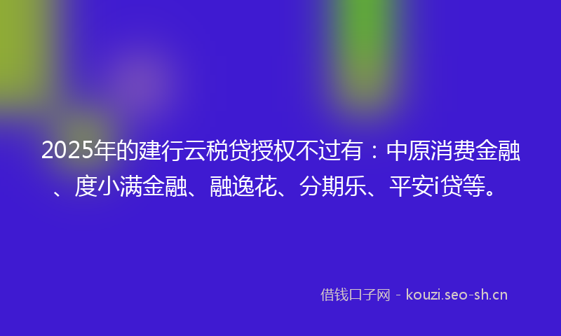 2025年的建行云税贷授权不过有：中原消费金融、度小满金融、融逸花、分期乐、平安i贷等。