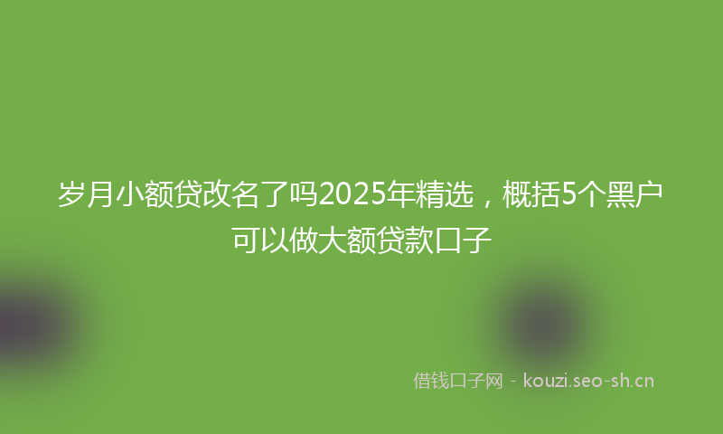 岁月小额贷改名了吗2025年精选，概括5个黑户可以做大额贷款口子
