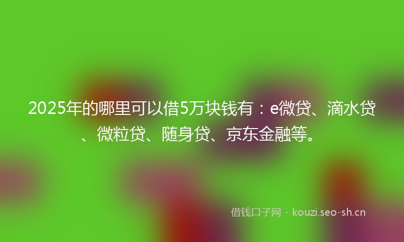 2025年的哪里可以借5万块钱有:e微贷、滴水贷、微粒贷、随身贷、京东金融等。