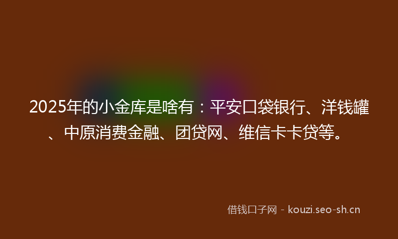 2025年的小金库是啥有：平安口袋银行、洋钱罐、中原消费金融、团贷网、维信卡卡贷等。