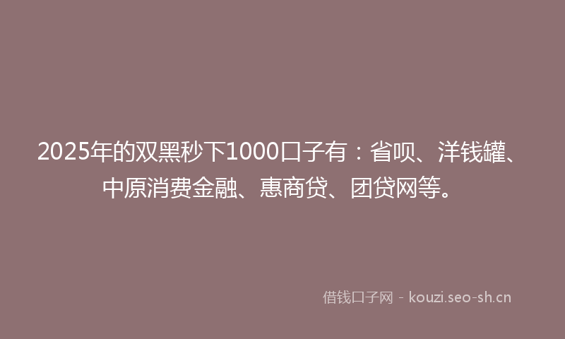 2025年的双黑秒下1000口子有：省呗、洋钱罐、中原消费金融、惠商贷、团贷网等。