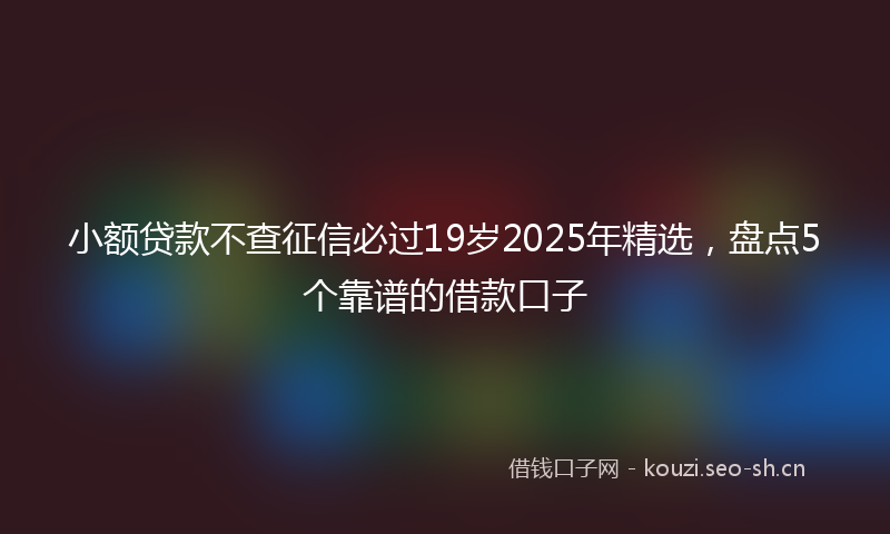小额贷款不查征信必过19岁2025年精选，盘点5个靠谱的借款口子