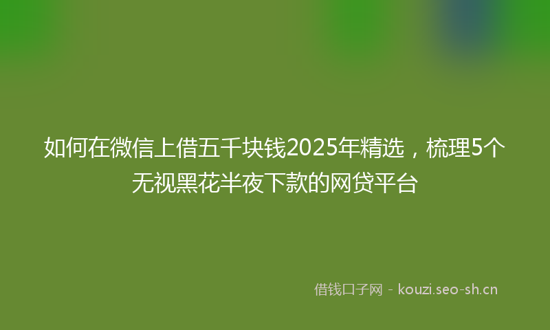 如何在微信上借五千块钱2025年精选，梳理5个无视黑花半夜下款的网贷平台
