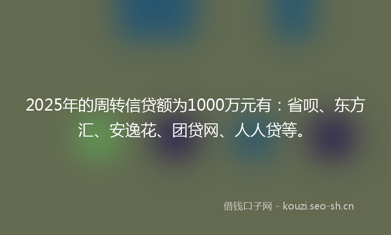 2025年的周转信贷额为1000万元有:省呗、东方汇、安逸花、团贷网、人人贷等。