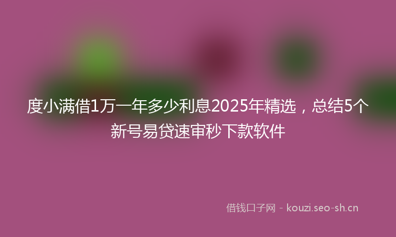 度小满借1万一年多少利息2025年精选，总结5个新号易贷速审秒下款软件