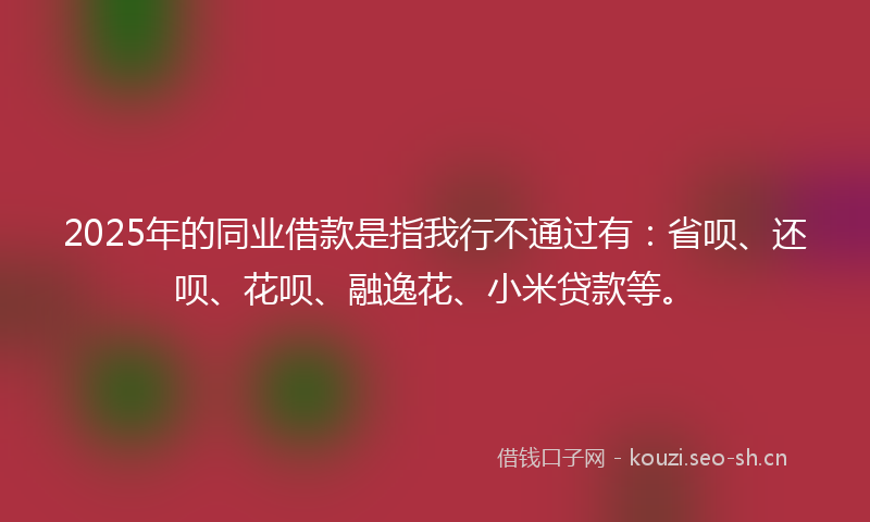 2025年的同业借款是指我行不通过有：省呗、还呗、花呗、融逸花、小米贷款等。