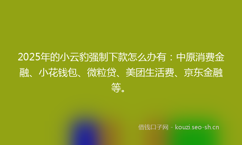 2025年的小云豹强制下款怎么办有：中原消费金融、小花钱包、微粒贷、美团生活费、京东金融等。