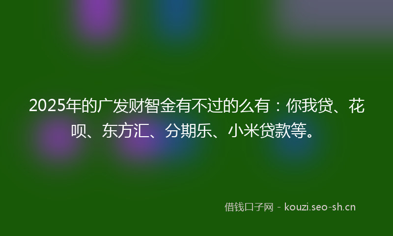 2025年的广发财智金有不过的么有：你我贷、花呗、东方汇、分期乐、小米贷款等。