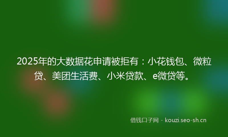 2025年的大数据花申请被拒有：小花钱包、微粒贷、美团生活费、小米贷款、e微贷等。