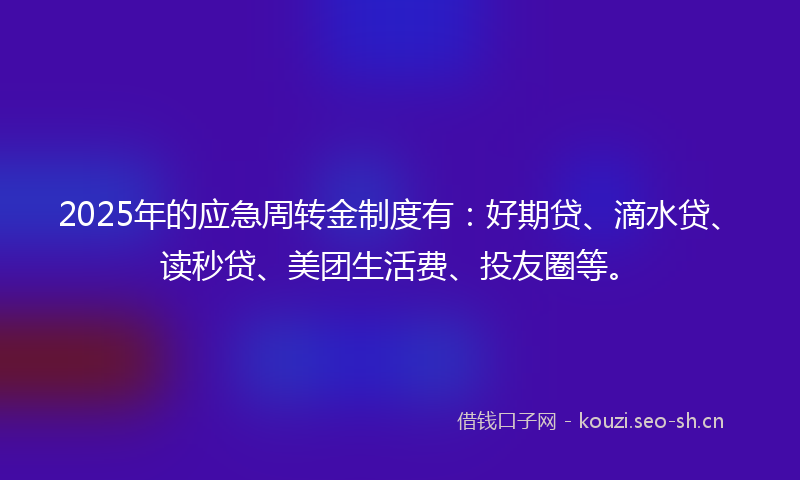 2025年的应急周转金制度有：好期贷、滴水贷、读秒贷、美团生活费、投友圈等。