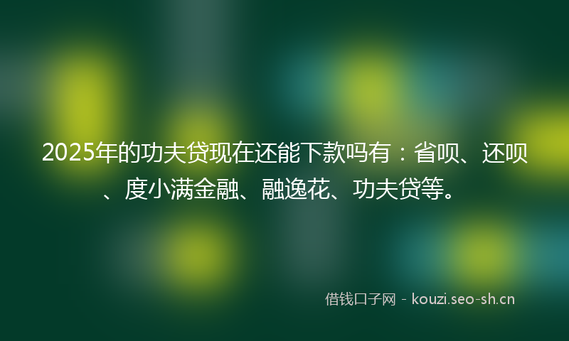 2025年的功夫贷现在还能下款吗有：省呗、还呗、度小满金融、融逸花、功夫贷等。