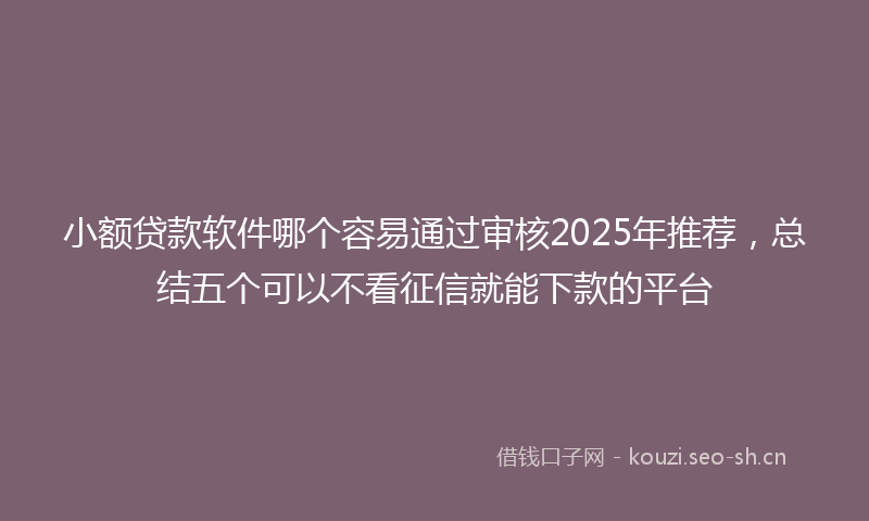 小额贷款软件哪个容易通过审核2025年推荐，总结五个可以不看征信就能下款的平台