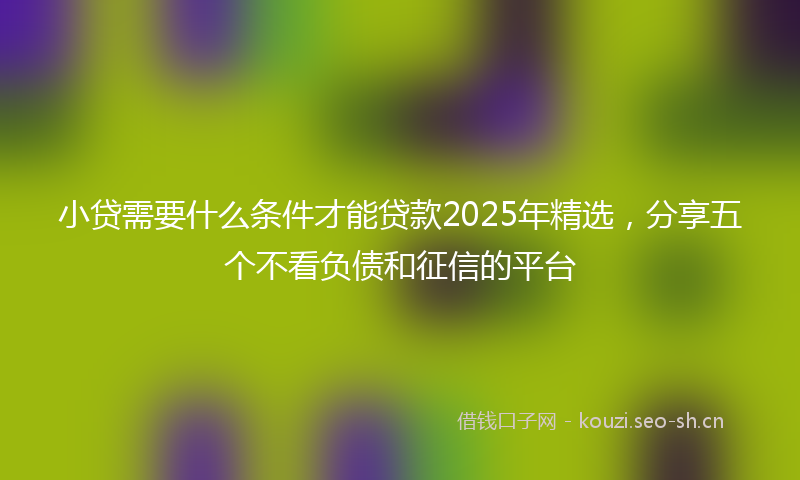 小贷需要什么条件才能贷款2025年精选，分享五个不看负债和征信的平台