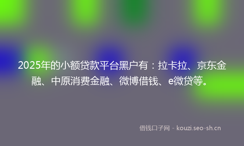 2025年的小额贷款平台黑户有：拉卡拉、京东金融、中原消费金融、微博借钱、e微贷等。