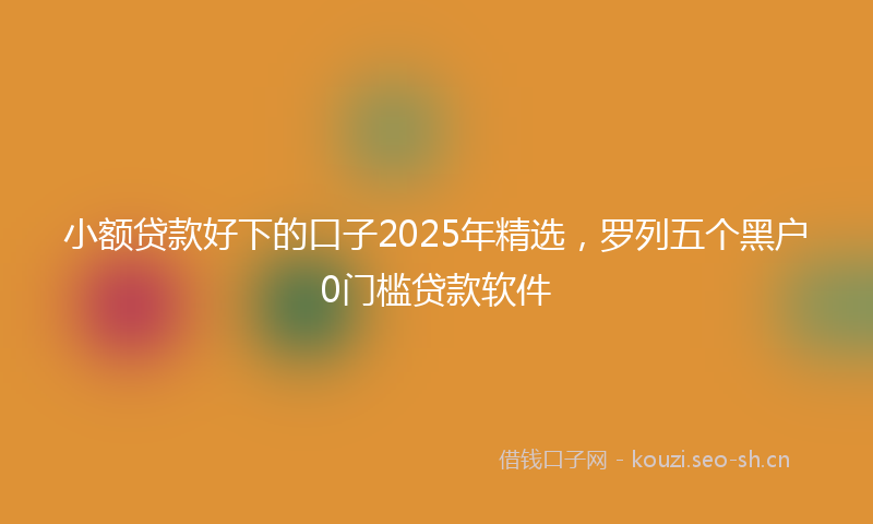 小额贷款好下的口子2025年精选，罗列五个黑户0门槛贷款软件