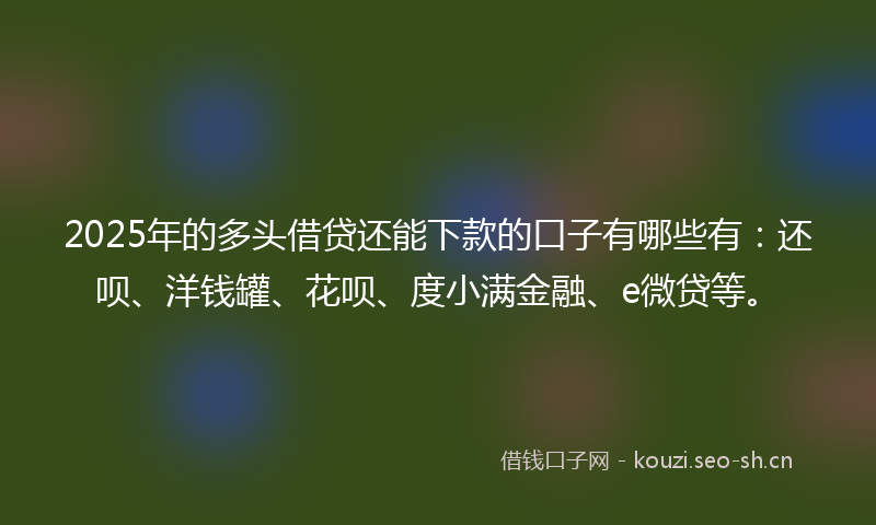 2025年的多头借贷还能下款的口子有哪些有：还呗、洋钱罐、花呗、度小满金融、e微贷等。