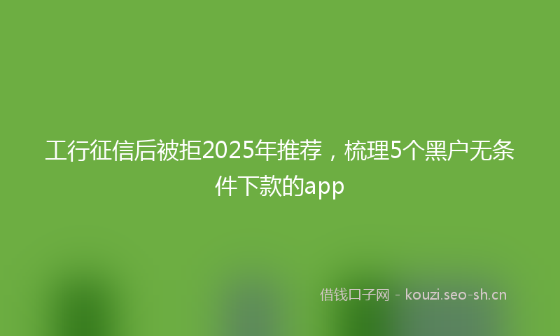 工行征信后被拒2025年推荐，梳理5个黑户无条件下款的app