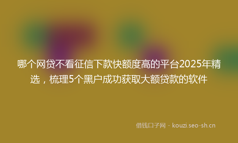 哪个网贷不看征信下款快额度高的平台2025年精选,梳理5个黑户成功获取大额贷款的软件