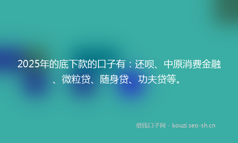 2025年的底下款的口子有：还呗、中原消费金融、微粒贷、随身贷、功夫贷等。