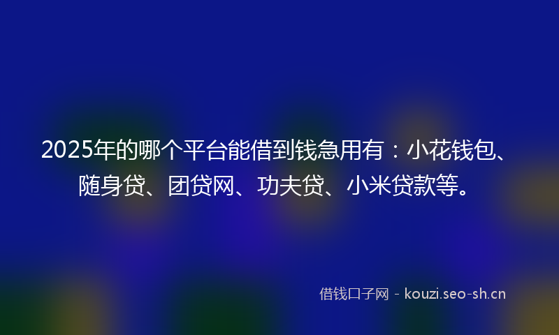 2025年的哪个平台能借到钱急用有：小花钱包、随身贷、团贷网、功夫贷、小米贷款等。