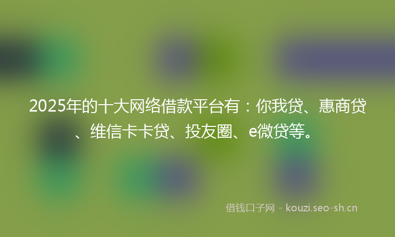 2025年的十大网络借款平台有：你我贷、惠商贷、维信卡卡贷、投友圈、e微贷等。