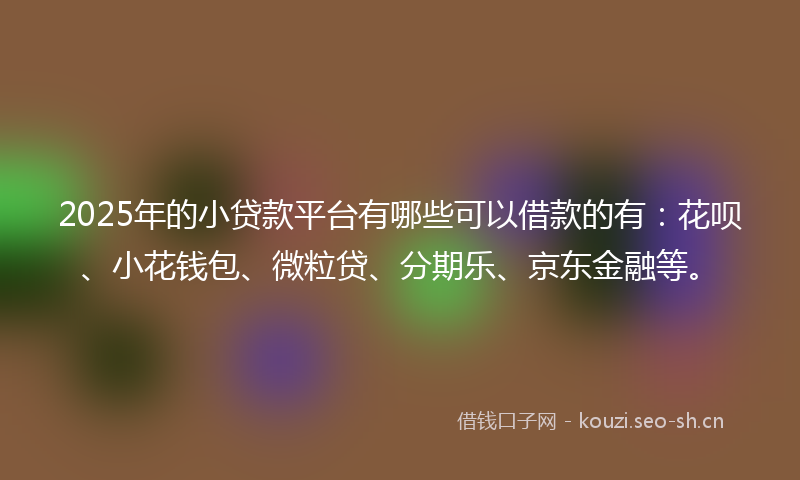 2025年的小贷款平台有哪些可以借款的有：花呗、小花钱包、微粒贷、分期乐、京东金融等。