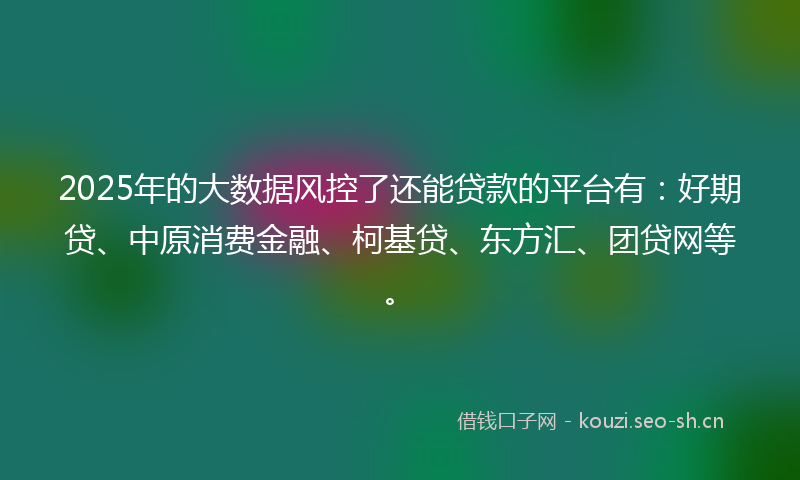 2025年的大数据风控了还能贷款的平台有：好期贷、中原消费金融、柯基贷、东方汇、团贷网等。