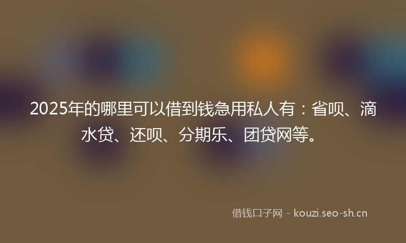 2025年的哪里可以借到钱急用私人有:省呗、滴水贷、还呗、分期乐、团贷网等。