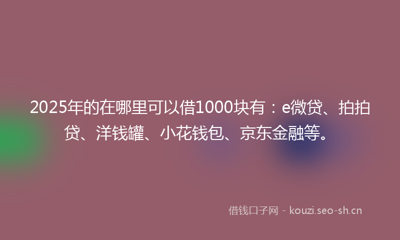 2025年的在哪里可以借1000块有：e微贷、拍拍贷、洋钱罐、小花钱包、京东金融等。