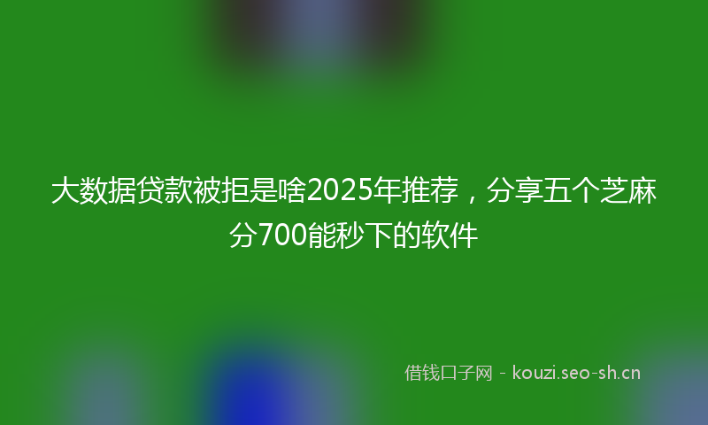 大数据贷款被拒是啥2025年推荐，分享五个芝麻分700能秒下的软件