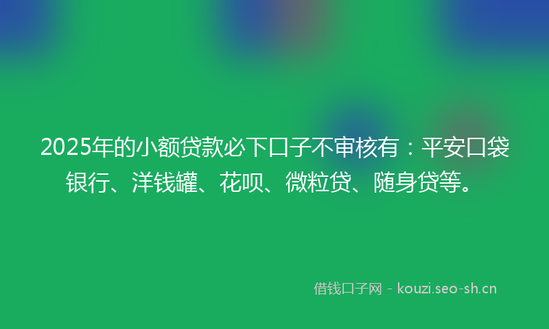 2025年的小额贷款必下口子不审核有：平安口袋银行、洋钱罐、花呗、微粒贷、随身贷等。