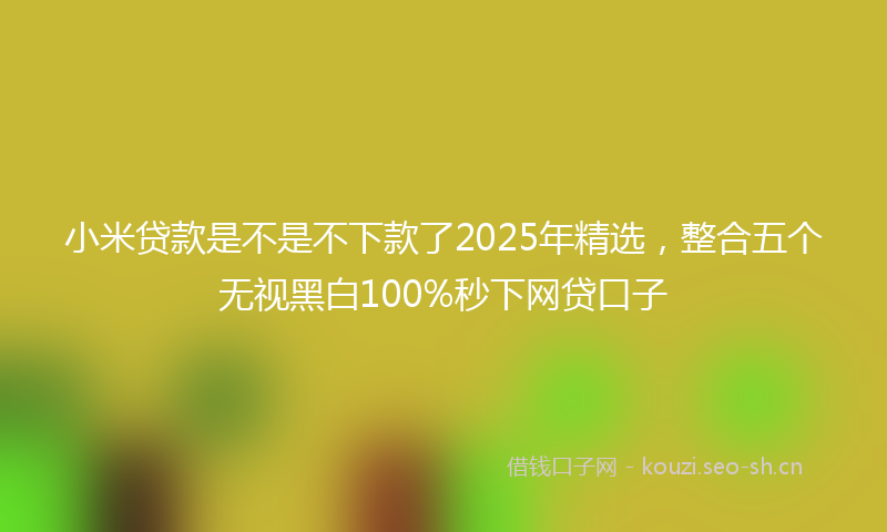 小米贷款是不是不下款了2025年精选，整合五个无视黑白100%秒下网贷口子