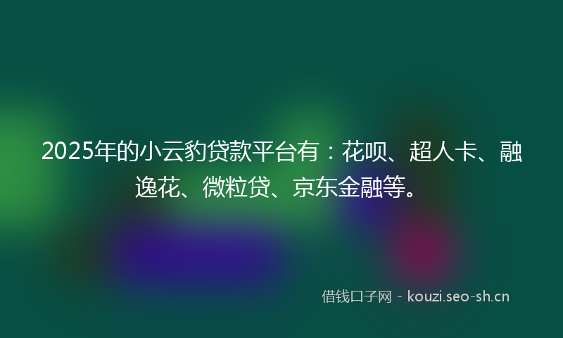 2025年的小云豹贷款平台有:花呗、超人卡、融逸花、微粒贷、京东金融等。