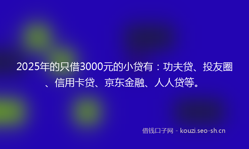 2025年的只借3000元的小贷有：功夫贷、投友圈、信用卡贷、京东金融、人人贷等。